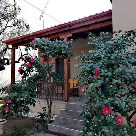 Tatil Evi John And Tania's Garden