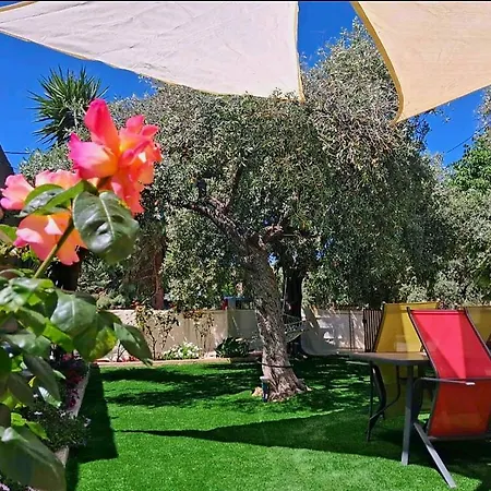 John And Tania's Garden *