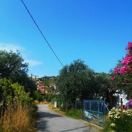John And Tania's Garden Tatil Evi *
