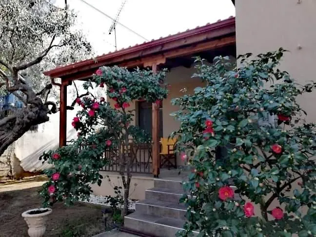 Tatil Evi John And Tania's Garden